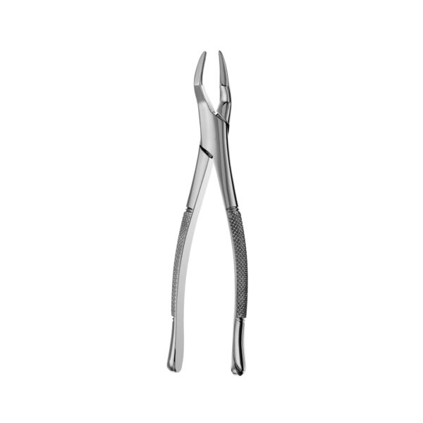 Forceps 65